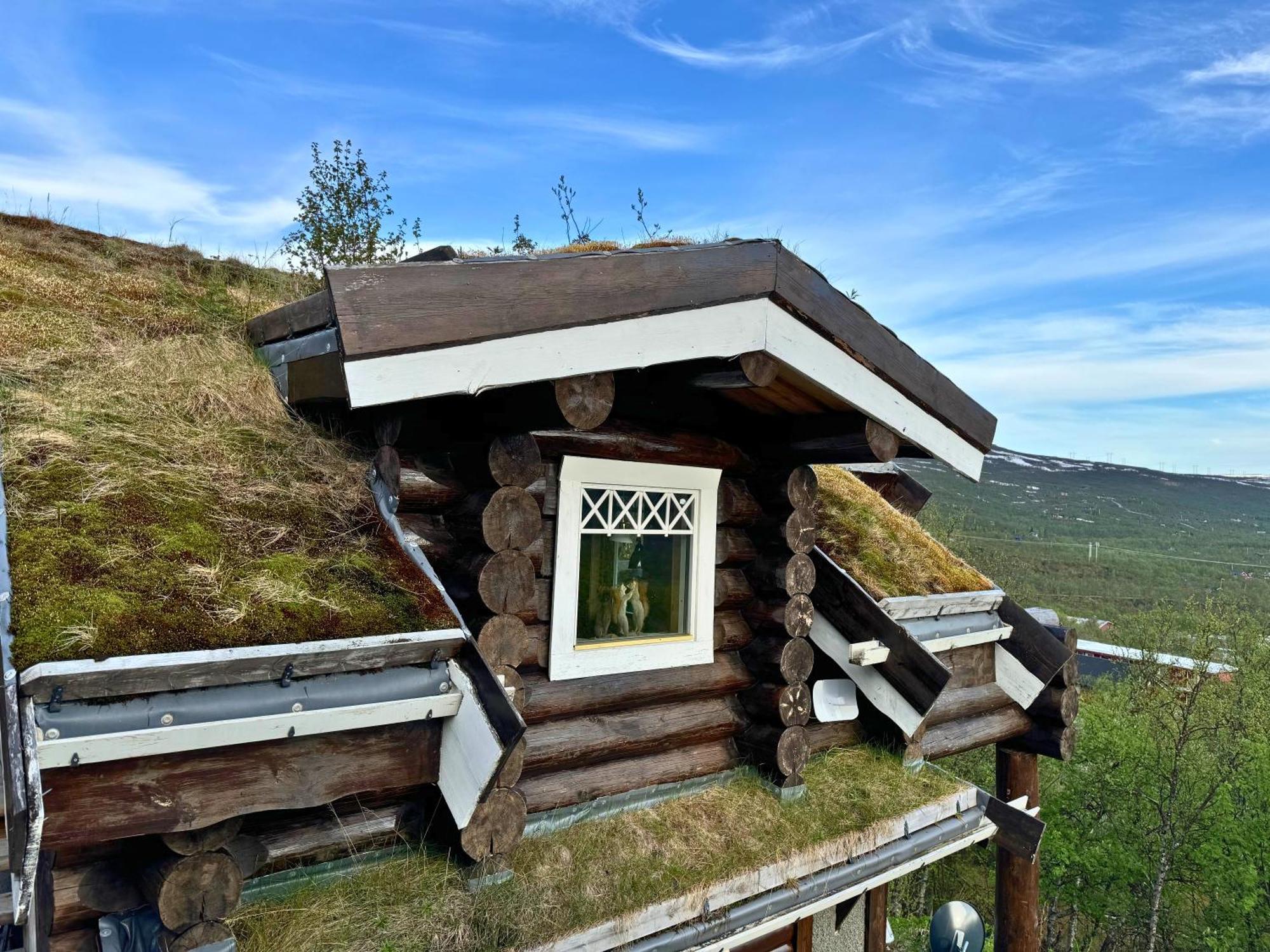 Unique Arctic Timber Cabin Skaidi Ngoại thất bức ảnh
